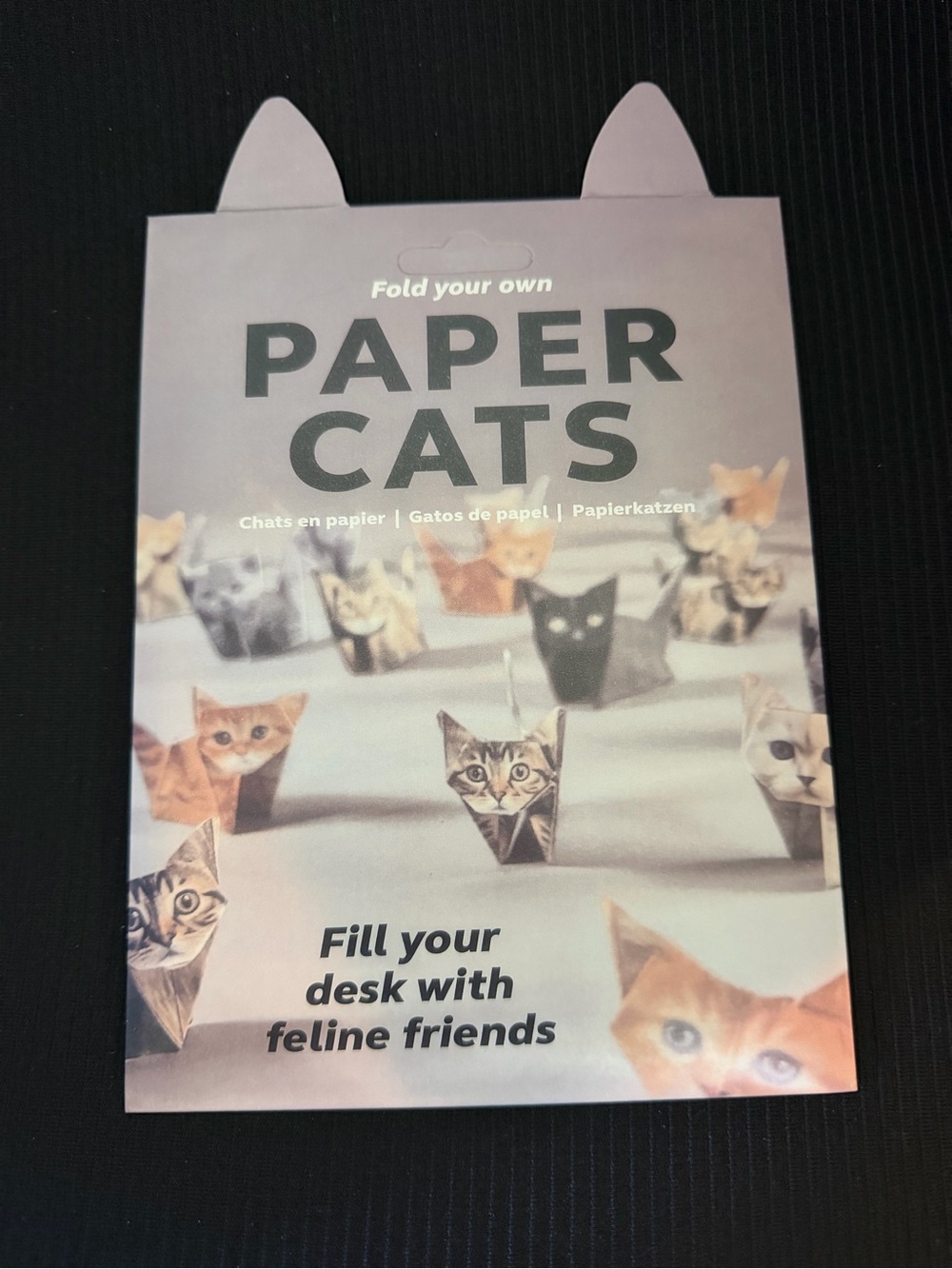 Fold Your Own Paper Cats Origami Kit 5 Breeds Cat Lover Gift Craft Kit